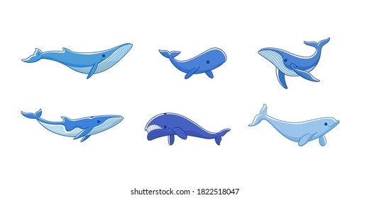 Cartoon whale sketch line icon. Different type of whale - sperm whale, blue, humpback, polar whale, beluga.