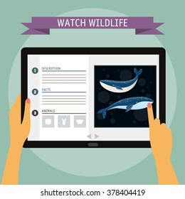 Cartoon whale and website about wildlife. Digital tablet. 