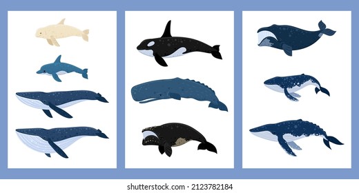 Caricatura de ballenas con un conjunto de afiches. Beluga, ballena asesina, ballena jorobada, cachalot, ballena azul, delfín, cabeza de ballena, ballena sur derecha, esperma hale. Mundo submarino, vida marina. Ilustración del vector