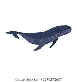 Cartoon whales. Underwater world, marine flora and fauna. Vector illustration of whales