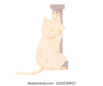 Cartoon white cat with a scratching post. Vector isolated pet.