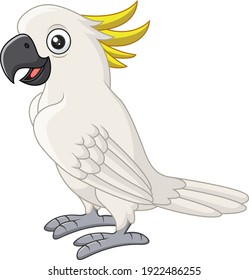 Cartoon white cockatoo on white background