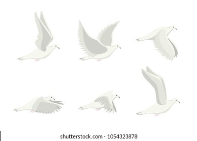 Cartoon White Dove Bird Set Pigeon Symbol of Peace Flat Design Style Isolated on White Background. Vector illustration