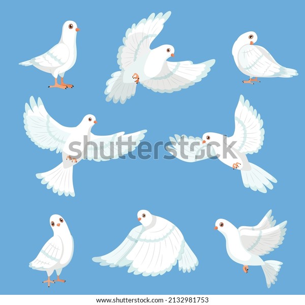 Cartoon white\
dove. Peace and freedom symbol pigeon, different poses, flying and\
walking cute birds, city fauna, hope and love, drawing funny urban\
characters, vector isolated\
set