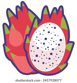 Cartoon white dragon fruit vector illustration, whole and half slice pitaya, pitahaya flat icon design, buah naga putih isolated on white background