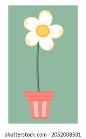 Cartoon white flower in a pot. Beautiful domestic plant. Pastel vector illustration for handmade gift card, flyer or poster.