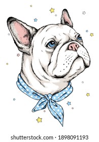 Cartoon white french bulldog portrait.  Stylish image for printing on any surface.