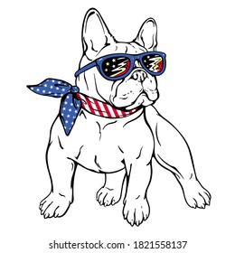 Cartoon white french bulldog in sunglasses. Stylish image for printing on any surface. 