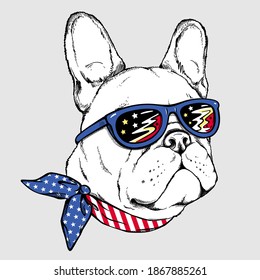 Cartoon white french bulldog in sunglasses. Stylish image for printing on any surface.