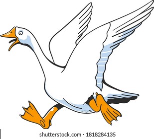 Cartoon white goose on the white background. Isolated.