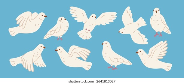 Cartoon white pigeons. City doves in different poses, beautiful wedding symbol, faith, love and peace flying birds, cute funny featheries, freedom character, isolated garish vector set