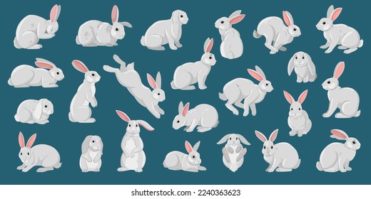 Cartoon white rabbits. Easter cute bunny, funny domestic white bunnies flat vector illustration set. Easter fluffy rabbits collection