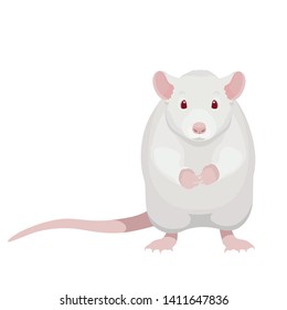 Cartoon white rat vector illustration. Cute sitting albino rat isolated on white background.