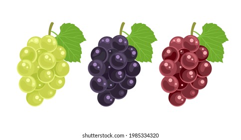 Dibujo blanco, rojo, negro ramo de uvas y hojas verdes aisladas. Vector simple ilustración plana de frutas frescas, berry. Icono de Comida.