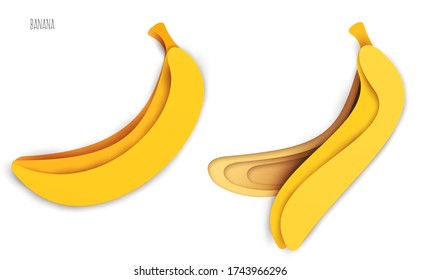 Dibujo entero y medio banana en un estilo de corte geométrico moderno de papel 3d aislado en fondo blanco. Elemento de arte vectorial creativo y vivo. Concepto minimalista de ilustración abstracta de diseño.