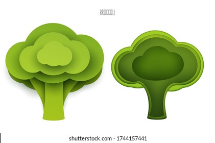 Cartoon whole and half green broccoli in modern geometric 3d paper cut style isolated on white background. Vivid creative vector art element. Minimalistic concept of abstract design illustration.