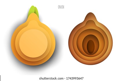 Cartoon whole and half onion in modern geometric 3d paper cut style isolated on white background. Vivid creative vector art element. Minimalistic concept of abstract design illustration.