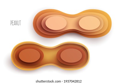 Cartoon whole and half peanut in modern geometric 3d paper cut style isolated on white background. Vivid creative vector art element. Minimalistic concept of abstract design illustration.