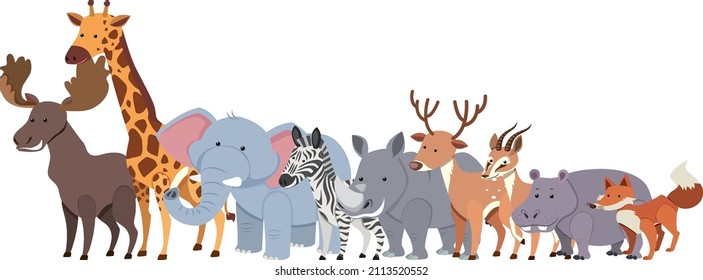 Cartoon wild animals in flat style illustration