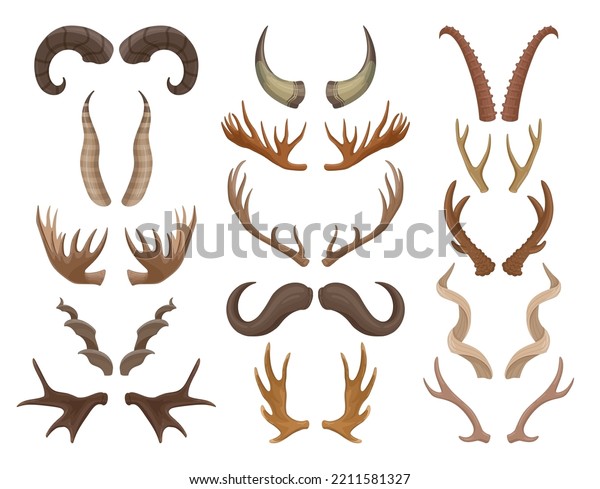 Cartoon Wild Animals Horn Horned Moose Stock Vector (Royalty Free ...