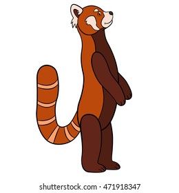 Cartoon wild animals. Little cute red panda stands and smiles.
