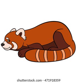 Cartoon wild animals. Little cute red panda smiles.