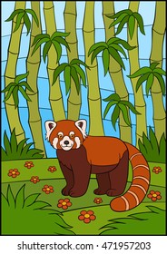 Cartoon wild animals. Little cute red panda stands in the forest and smiles.