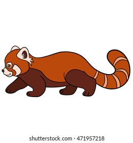 Cartoon wild animals. Little cute baby red panda walks and smiles.