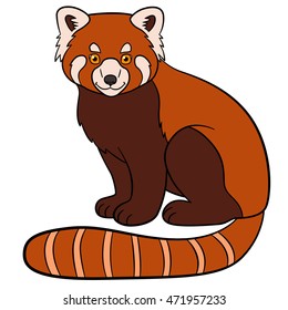 Cartoon wild animals. Little cute red panda sits and smiles.