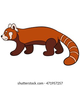 Cartoon wild animals. Little cute red panda walks and smiles.