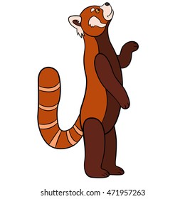 Cartoon wild animals. Little cute red panda stands and smiles.