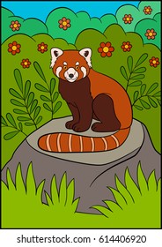 Cartoon wild animals. Little cute red panda sits on the stone in the forest and smiles.