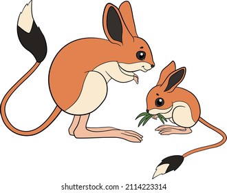 Cartoon wild animals. Mother jerboa with her little cute baby. Isolated.