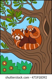 Cartoon wild animals. Mother red panda with her little cute baby on the tree branch in the forest.