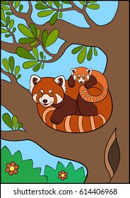 Cartoon wild animals. Mother red panda with her little cute baby on the tree branch in the forest.