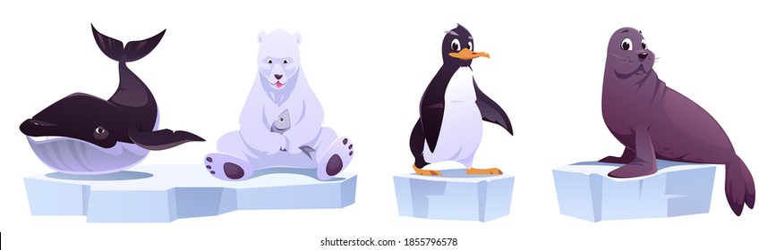 Caricatura de animales salvajes sobre el hielo inunda la ballena marina, el oso blanco, el pingüino y la foca. Habitantes del Polo Norte en el parque zoológico o área al aire libre. Bebidas en fauna aisladas en fondo blanco, ilustración vectorial, conjunto