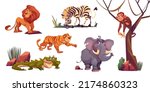 Cartoon wild animals tiger, monkey, zebra and lion with elephant and crocodile. Jungle inhabitants predators and herbivorous in zoo or safari park. Beasts in fauna, isolated vector illustrations set