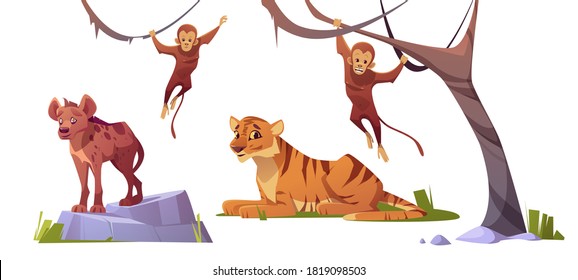 Cartoon Wildtier Tiger, Monleys und Hyäne, Dschungelbewohner Raubtiere und Herbivorkommen im Zoo Park oder Safari-Außenbereich. Tiere in der Fauna einzeln auf weißem Hintergrund, Vektorgrafik, Set