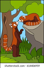 Cartoon wild animals. Two little cute red pandas look at each other and smile.