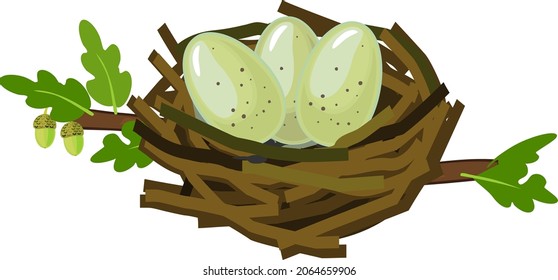 Cartoon wild bird nest with three eggs isolated on white background