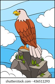 Cartoon wild birds for kids: Eagle. Cute eagle sits on the top of the rock and smiles.