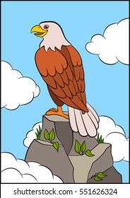 Cartoon wild birds for kids: Eagle. Cute eagle sits on the top of the rock and smiles.