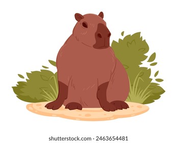 Cartoon wild capybara. Cute capybara mammal in natural habitat flat vector illustration. Semi-aquatic capybara animal