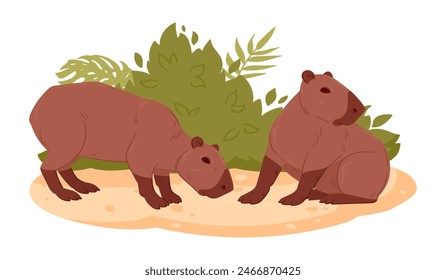 Cartoon wild capybaras. Herbivore mammals in natural habitat, semi-aquatic animals flat vector illustration. Cute capybaras