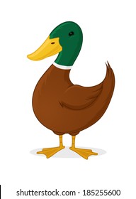 Cartoon Wild Duck