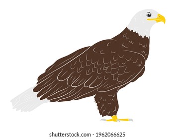 Cartoon  wild eagle in isolate on a white background. Vector illustration.