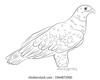 Cartoon  wild eagle in isolate on a white background. Vector illustration.
