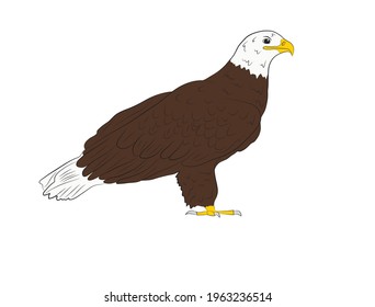 Cartoon wild eagle isolated on a white background. Vector illustration.