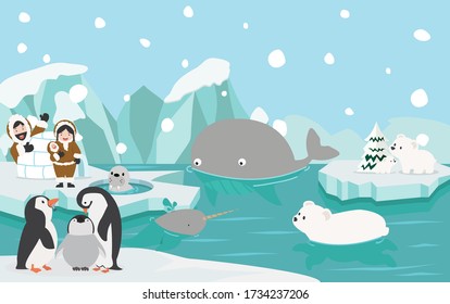 Cartoon wild North pole arctic animal 