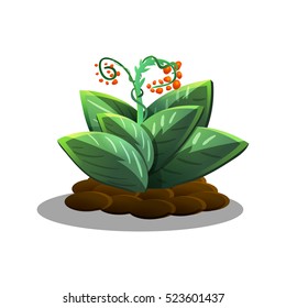 Cartoon wild plants. Vector illustration on white backgrounds.